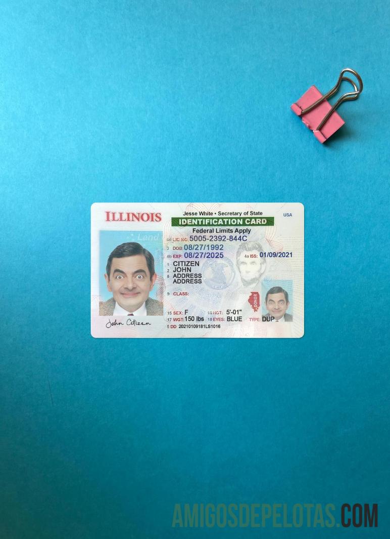 USA Illinois ID Card olhar de foto frente exemplo